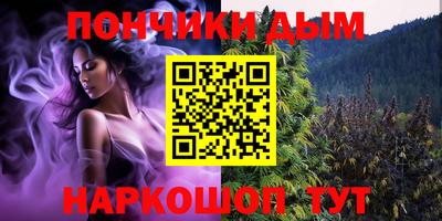 дмт Кандалакша